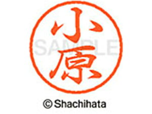 yr[e100~OFFN[|zy񂹁zV`n^ ubN8 XL-8() XL-8-0581 I ubN8 As l[ a8mm X^v