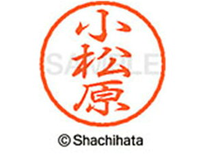 �y���r���[���e��100�~OFF�N�[�|���z�y�����񂹁z�T�N���N���p�X �|�X�^�[�J���[�W���j�A240mL �݂����� PWJ240#125 �|�X�^�[�J���[ �G�̋� ���