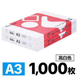 【レビュー投稿で100円OFFクーポン】高白色 コピー用紙 EX A3 1000枚 500枚×2冊 Forestway コピー紙 印刷用紙 オフィス用品 大量印刷 事務用品 書類 FAX 両面 資料 印刷 実用品 備品 A3サイズ コピー用