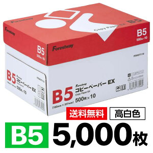 yr[e100~OFFN[|z F Rs[p EX B5 5000 500×10 Forestway Rs[ p ItBXpi ʈ pi  FAX    pi i ܂Ƃ