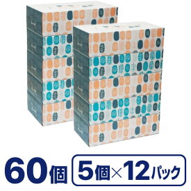 ティッシュペーパー ノルディック 200組 5個×12パック Forestway ティッシュ ティシュー 箱ティッシュ おしゃれ ボックスティッシュ 5箱 セット 業務用 ティシュペーパー パルプ100％ 業務用 大量 箱買い まとめ買い パルプ100 ケース買い ティッシュペーパーまとめ買い