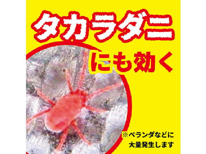 正規取扱店 金鳥 イヤな虫キンチョール 450ml 本 Mediquickfl Com