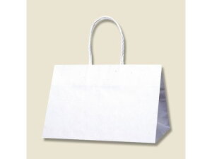 yr[e100~OFFN[|zy񂹁zwCR[  PX[XobO 31-19 n 25 003155200  ەR  bsO 