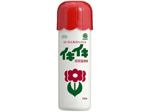 yr[e100~OFFN[|zA[X A[XK[f CLCL؉ԉ ͍ 엿 | K[fjO