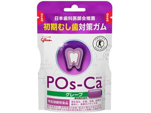 【レビュー投稿で100円OFFクーポン】【お取り寄せ】江崎グリコ ポスカ エコパウチ グレープ 75g 粒ガム チューイングガム お菓子