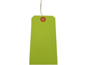 【レビュー投稿で100円OFFクーポン】【お取り寄せ】ゴークラ カラー荷札(100) 1穴 みどり 1000枚入 ニ-C100 荷物タグ 針金荷札 荷札 宅配 梱包