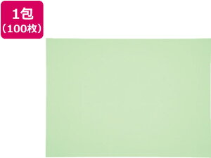 yr[e100~OFFN[|zy񂹁zĐFp lc 킩 100 4NCR-243 Fp l } H  w