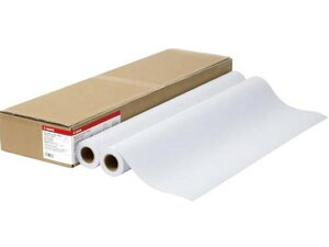 【レビュー投稿で100円OFFクーポン】送料無料 キヤノン LFM-PPS2 24 64 スタンダード普通紙2 2本 8738B003 まとめ買い 業務用 箱売り 箱買い ケース買い ロールタイプ コピー用紙