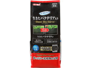 y}\2,000~N[|119:59|Cg2{zy񂹁zWFbNX xXgoCI Th 0.6L ObY Ϗ܋ ybg ANAE