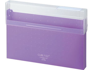 yr[e100~OFFN[|zy񂹁zqgu CUBE FIZZ ROXP[X A4 p[v A6024-10 P[Xt@C ރP[X ރL[ hLgL[ t@C