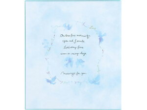 yr[e100~OFFN[|z~h J[F ܂ ×5 33139006 F \ LOT T