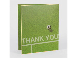 yr[e100~OFFN[|z~h J[F ܂ TbJ[ꕿ×5 33167006 F \ LOT T