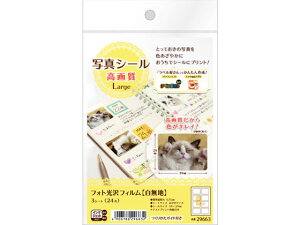 yr[e100~OFFN[|zy񂹁zG[ ʐ^V[ 掿 Large 8 3V[g 5 29663 CNWFbgpxV[ Sxp