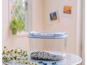 y}\2,000~N[|119:59|Cg2{zy񂹁zACXI[} 烉h p[u[ LLTCY CY-LL P[W L[  ybg ETM nX^[