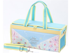 yr[e100~OFFN[|zxNG[V BOX^ރZbg LETTER FROM OCEAN G̋Zbg G̋obO 