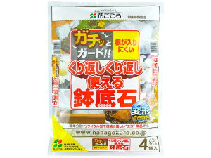 y|Cg10obN309:59zy񂹁zԂ JԂg锫 y py | K[fjO