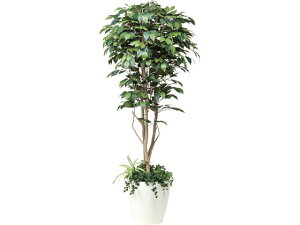 yubNtCf[聚279:59X|Cg2{zy[J[zA[gNGCV tBJXxW~ 1.8m 61280026yszlHA tFCNO[ GgX C