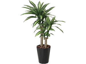 yr[e100~OFFN[|zy[J[zA[gNGCV K̖ 1.1m 61280031yszlHA tFCNO[ GgX CtH[V ItBXƋ