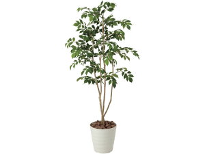 �y�y�V�労�ӍՌ��聚26��9:59���|�C���g2�{�z�y���[�J�[�����z�A�[�g�N���G�C�V���� �}�E���e���A�b�V�� 1.3m 61280033�y����s�z�l�H�A�� �t�F�C�N�O���[�� �G���g�����X �C���t�H���[�V��