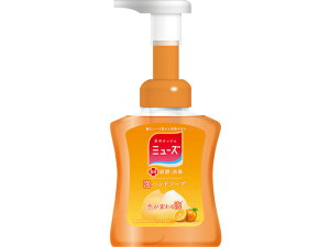 yr[e100~OFFN[|zLbgxL[U[ A~[Y t[eBtbV { 250ML Anh\[v nhPA XLPA