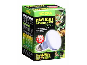 yr[e100~OFFN[|zy񂹁zWFbNX TO[oXLOX|bgv100WPT2133  ybg ETM nX^[