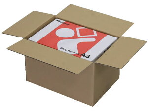 【レビュー投稿で100円OFFクーポン】送料無料 強化段ボール箱 A3 465×325×295mm 10枚 TK-A3 120サイズ 宅配用ダンボール箱 宅配 梱包