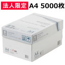 【ポイント2倍★22日20:00〜27日9:59迄】送料無料 コピー用紙 アクアホワイト A4 5000枚 (500枚×10冊) APPJ まとめ買い 業務用 箱売り 箱買い ケース買い A4サイズ コピー用紙