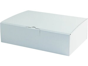 yr[e100~OFFN[|z X}C ͂z LL(336×245×95mm) 10 747785 80TCY zp_{[ z 