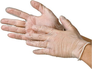 yr[e100~OFFN[|z쐼H rj[g Ȃ L 100 2023 rj[ vX`bN ĝĎ Ɨp