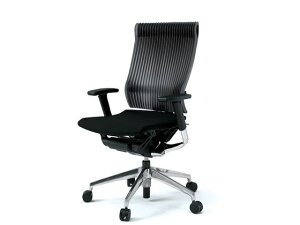 【レビュー投稿で100円OFFクーポン】【メーカー直送】イトーキ スピーナチェア エラストマー 本体アルミ 可動肘 グレー【代引不可】【組立・設置・送料無料】肘付き 可動肘タイプ 樹脂チェ