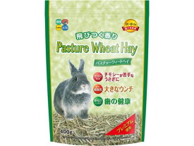 【レビュー投稿で100円OFFクーポン】ハイペット パスチャーウィートヘイ 400g ハムスター ウサギ フード 小動物 ペット ウサギ ハムスター