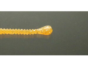 yr[e100~OFFN[|zy񂹁zissei CY Xpe 1.5 #009 IW(O[) Cg\gA[ [ A[ \gEH[^[ ނ AEghA