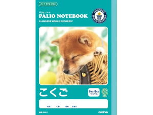 yr[e100~OFFN[|zILi pIm[g  6}XE8}X \[_[ GA8-1   wK m[g