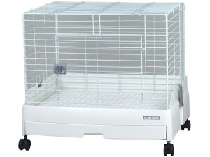 yr[e100~OFFN[|zy񂹁zOW C[W[z[ EVO (60-WH) C54 P[W L[  ybg ETM nX^[