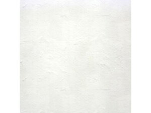 yubNtCf[聚279:59X|Cg2{zJ mt CASA FLEECE  MTCAF4609 fR[Vp}XLOe[v CeA fR[VObY