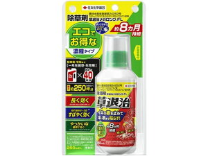 yubNtCf[聚279:59X|Cg2{zy񂹁zZFw| ގKOFL 250ml   E | K[fjO