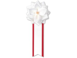 yX[p[SALE2,000~N[|119:59|Cg2{z y񂹁zTTK L o  2^  20 38-3242 L \ LOT T