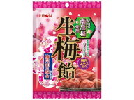 【レビュー投稿で100円OFFクーポン】リボン 生梅飴 90g のど飴 飴 グミ タブレット お菓子