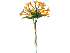 yr[e100~OFFN[|zy񂹁z  T[uoAu[P CgIW 9 LTOR CeA ͂Ȃ ϗtA ԍ t[AWg tFCNt