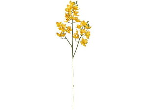 yr[e100~OFFN[|zy񂹁z  iI[Lbh CG[ #4 YELLOW CeA ͂Ȃ ϗtA ԍ t[AWg tFCNt[  nh