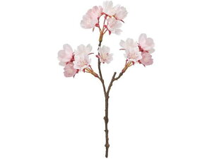 yr[e100~OFFN[|zy񂹁z  d~jsbN sN PINK CeA ͂Ȃ ϗtA ԍ t[AWg tFCNt[ Xܑ ԍ 