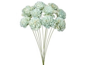 yr[e100~OFFN[|zy񂹁z hCt[ \[[[YE yp[~g 10{ CeA ͂Ȃ ϗtA ԍ t[AWg tFCNt