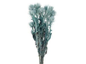 yr[e100~OFFN[|zy񂹁z hCt[ Vo[f[W[~j yp[~g 20g CeA ͂Ȃ ϗtA ԍ t[AWg tFCNt