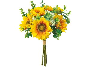 yr[e100~OFFN[|zy񂹁z  vGTt[u[P GOLD.YEL S-hCG[ CeA ͂Ȃ ϗtA ԍ t[AWg tFCNt