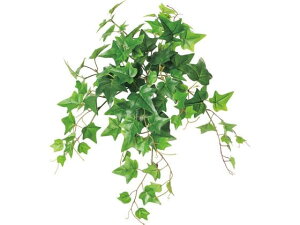 yr[e100~OFFN[|zy񂹁zYDM  UVACr[ubV O[ CeA ͂Ȃ ϗtA ԍ t[AWg tFCNO[ Xܑ t O