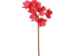 yr[e100~OFFN[|zy񂹁zYDM  vA r[eB[ CeA ͂Ȃ ϗtA ԍ t[AWg tFCNt[ Xܑ ԍ   