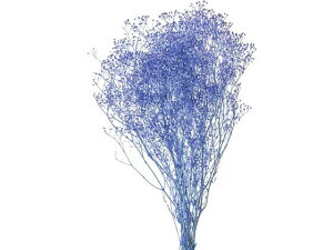 yr[e100~OFFN[|zy񂹁z vU[uht[ \tg~jJX~ u[x[ CeA ͂Ȃ ϗtA ԍ t[AWg tFCNt