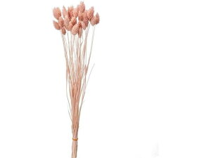 yr[e100~OFFN[|zy񂹁z hCt[ |Avc 15g sNO[v CeA ͂Ȃ ϗtA ԍ t[AWg tFCNt[ 