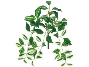 yr[e100~OFFN[|zy񂹁z  ReCO gfBXJeBAoC WH GR CeA ͂Ȃ ϗtA ԍ t[AWg tFCNO[ Xܑ