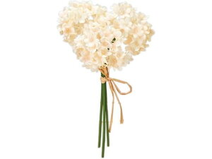 yr[e100~OFFN[|zy񂹁z  JXm[{[sbN 3{ 6 CR PE CeA ͂Ȃ ϗtA ԍ t[AWg tFCNt[ Xܑ